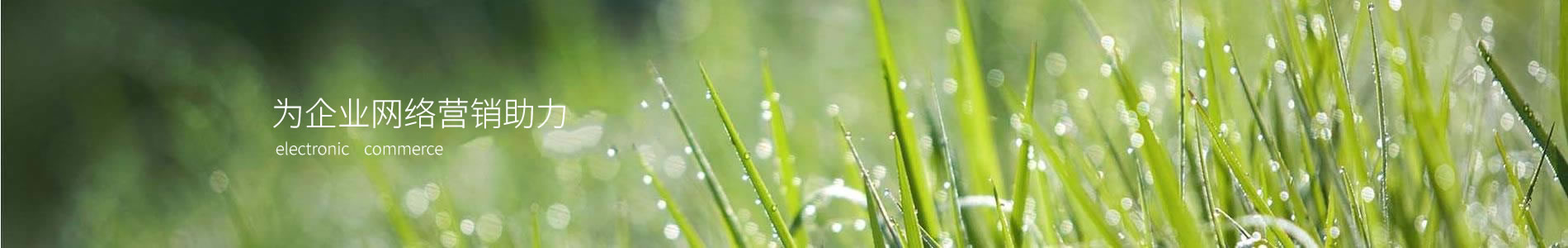 ̫ԭָ-Ƥ޹˾